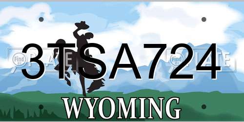 3TSA724 Wyoming License Plate
