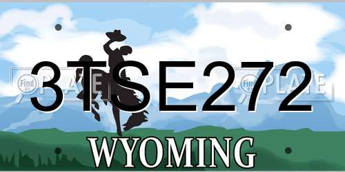 3TSE272 Wyoming License Plate