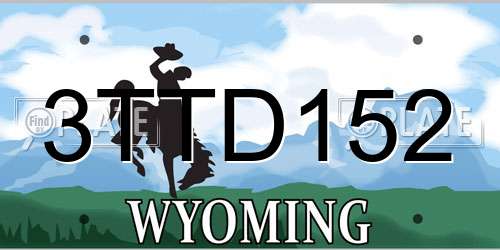 3TTD152 Wyoming License Plate
