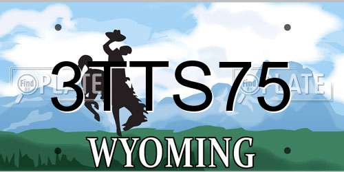 3TTS75 Wyoming License Plate