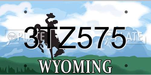 3TZ575 Wyoming License Plate