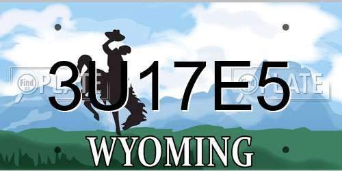 3U17E5 Wyoming License Plate