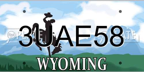 3UAE58 Wyoming License Plate
