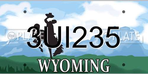 3UI235 Wyoming License Plate
