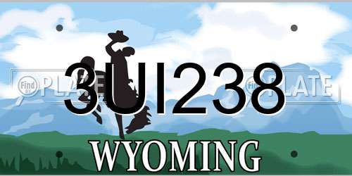 3UI238 Wyoming License Plate