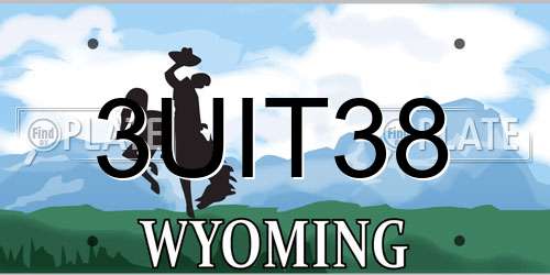 3UIT38 Wyoming License Plate