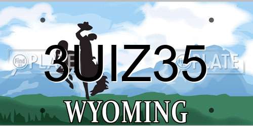 3UIZ35 Wyoming License Plate