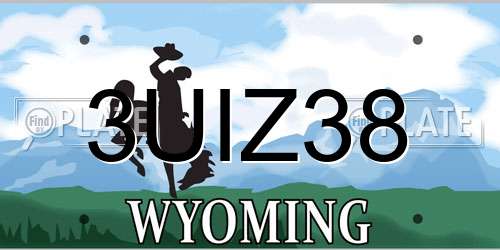 3UIZ38 Wyoming License Plate