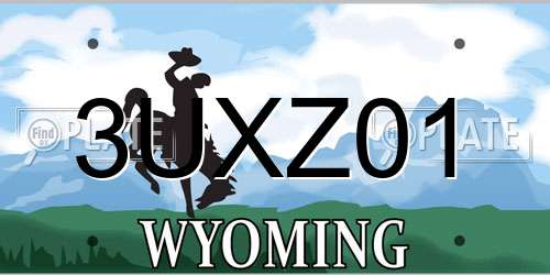 3UXZ01 Wyoming License Plate