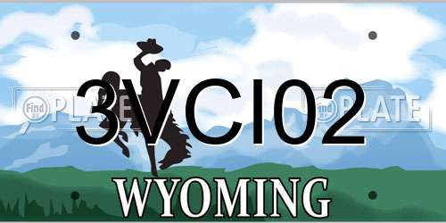 3VCI02 Wyoming License Plate