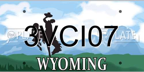 3VCI07 Wyoming License Plate