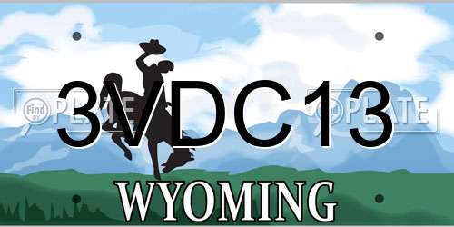 3VDC13 Wyoming License Plate