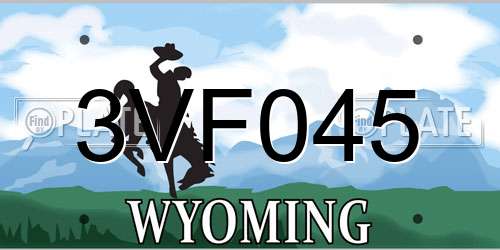 3VF045 Wyoming License Plate