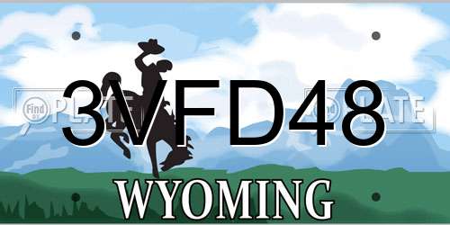 3VFD48 Wyoming License Plate
