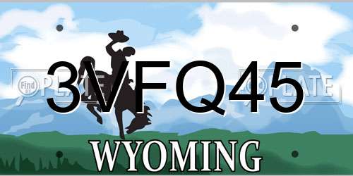 3VFQ45 Wyoming License Plate