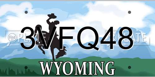 3VFQ48 Wyoming License Plate