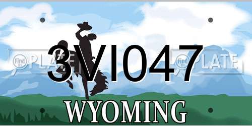 3VI047 Wyoming License Plate