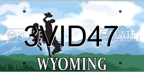 3VID47 Wyoming License Plate