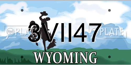 3VII47 Wyoming License Plate