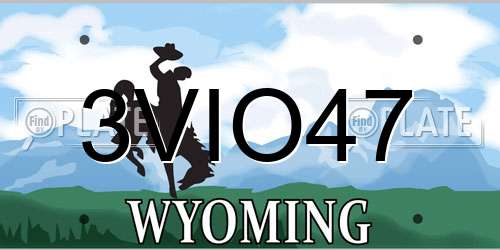3VIO47 Wyoming License Plate