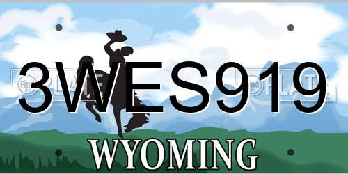 3WES919 Wyoming License Plate
