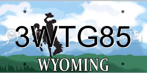 3WTG85 Wyoming License Plate