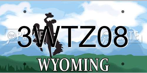 3WTZ08 Wyoming License Plate