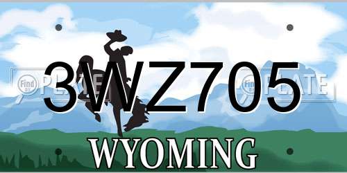 3WZ705 Wyoming License Plate
