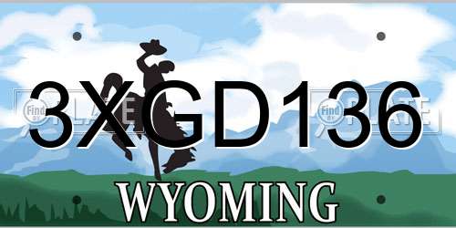 3XGD136 Wyoming License Plate