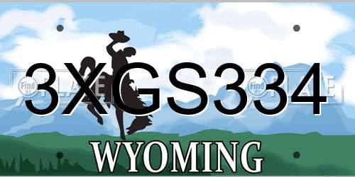 3XGS334 Wyoming License Plate