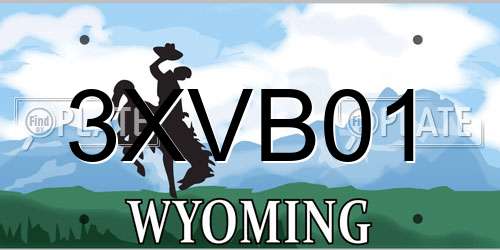3XVB01 Wyoming License Plate
