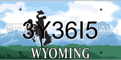 3Y36I5 Wyoming License Plate