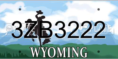 3ZB3222 Wyoming License Plate