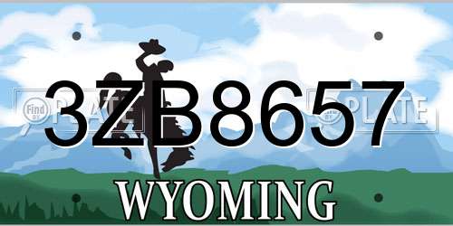 3ZB8657 Wyoming License Plate