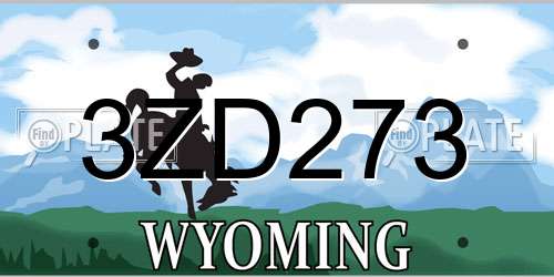 3ZD273 Wyoming License Plate