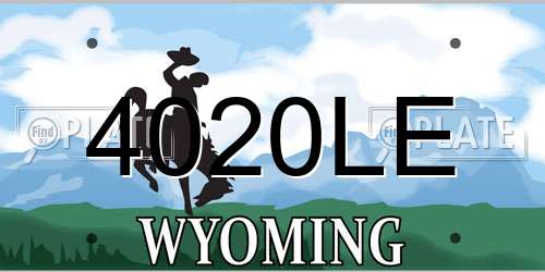 4020LE Wyoming License Plate