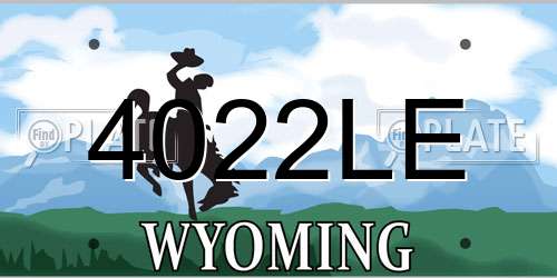 4022LE Wyoming License Plate