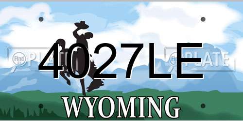 4027LE Wyoming License Plate
