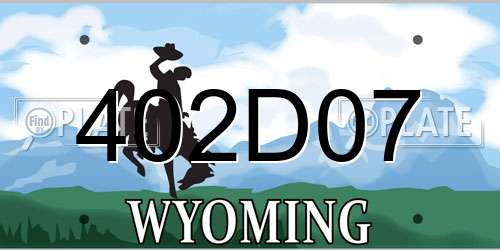 402D07 Wyoming License Plate