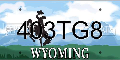 403TG8 Wyoming License Plate