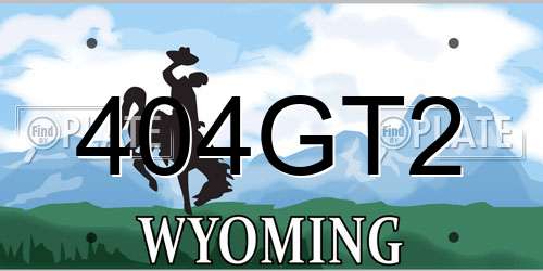 404GT2 Wyoming License Plate