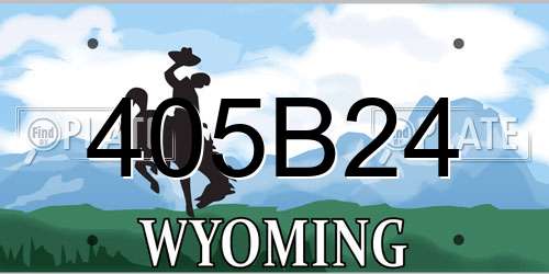 405B24 Wyoming License Plate