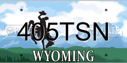 405TSN Wyoming License Plate