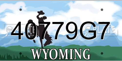 40779G7 Wyoming License Plate