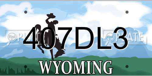 407DL3 Wyoming License Plate