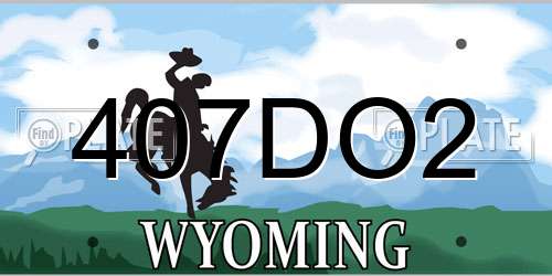 407DO2 Wyoming License Plate