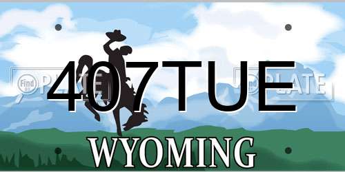 407TUE Wyoming License Plate