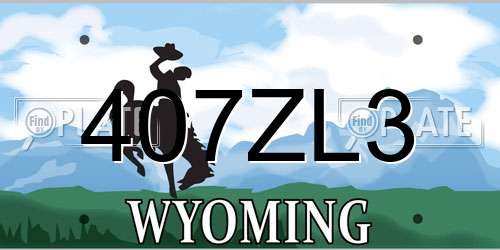 407ZL3 Wyoming License Plate