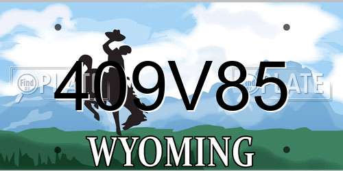 409V85 Wyoming License Plate
