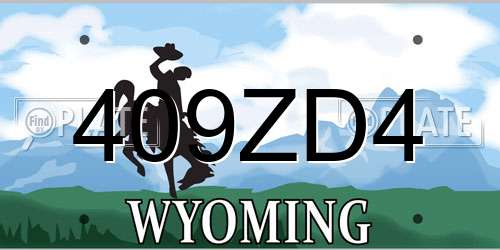 409ZD4 Wyoming License Plate